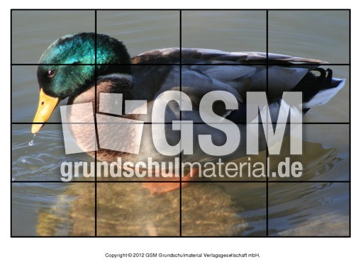 Puzzle-Stockente-6.pdf